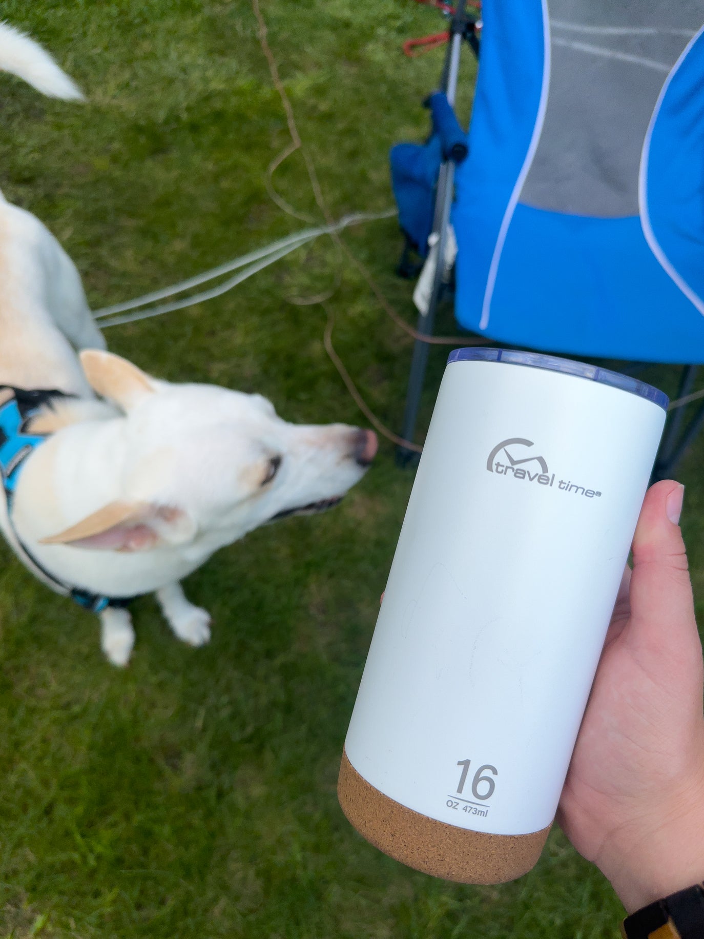 Stainless Steel Travel Tumbler with Cork Bottom 16oz in white held in the hand of a person hanging out outside their RV camper with their dog